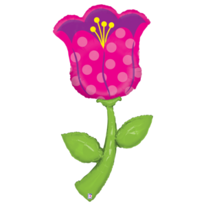 ⚫ tulipano