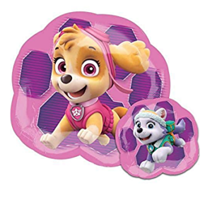 🟡 skye e everest - paw patrol