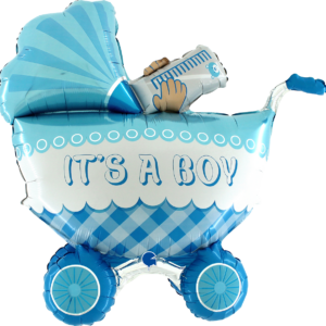 🟢 carrozzina azzurra