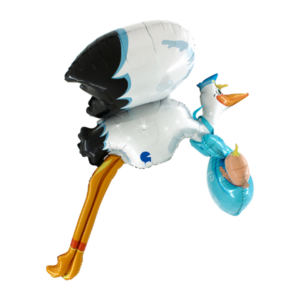 🔵 cicogna azzurra