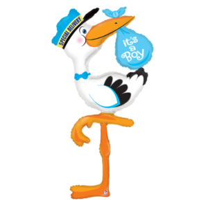 🟣 cicogna azzurra