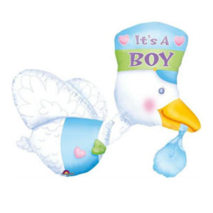 🟤 cicogna azzurra