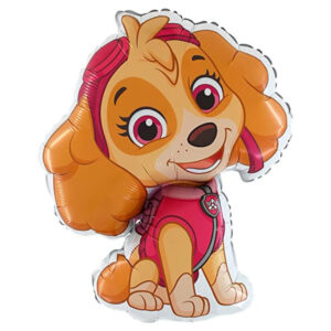 🟢 paw patrol - skye