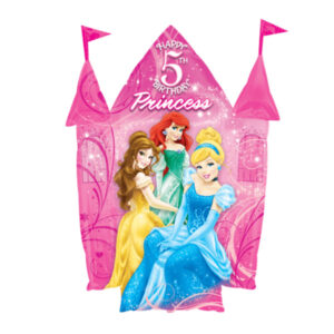 🔵 principesse disney castello