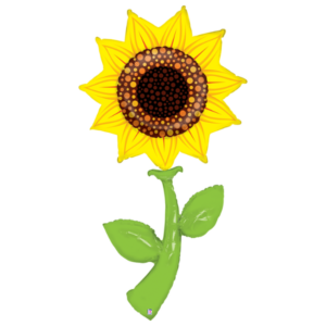 ⚫ girasole