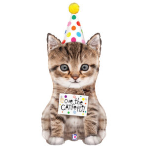 🟢 gatto con cappellino festa