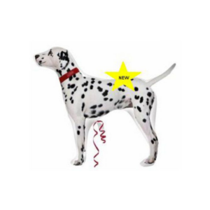 🟢 dalmata