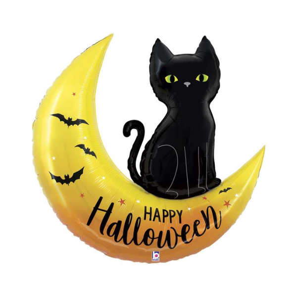 🟢 gatto nero su luna