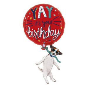 🟢 cagnolino yay it's your birthday