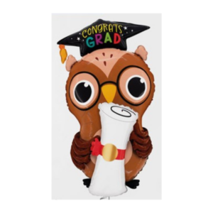 🟢 laurea gufo - congrats grad