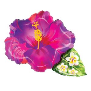 🟢 hibiscus - fiore