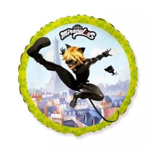 ⚪ miraculous - cat noir