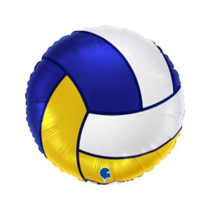 ⚪ palla da volley