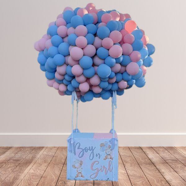 Mongolfiera grande gender reveal