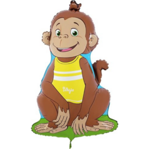 🟢 scimmietta sergio